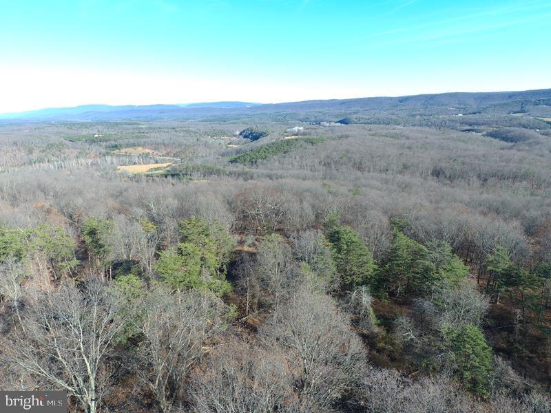 QUIVEYS GROVE - Land