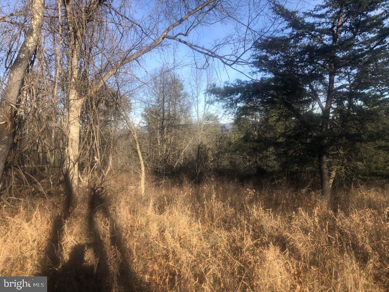 QUIVEYS GROVE - Land