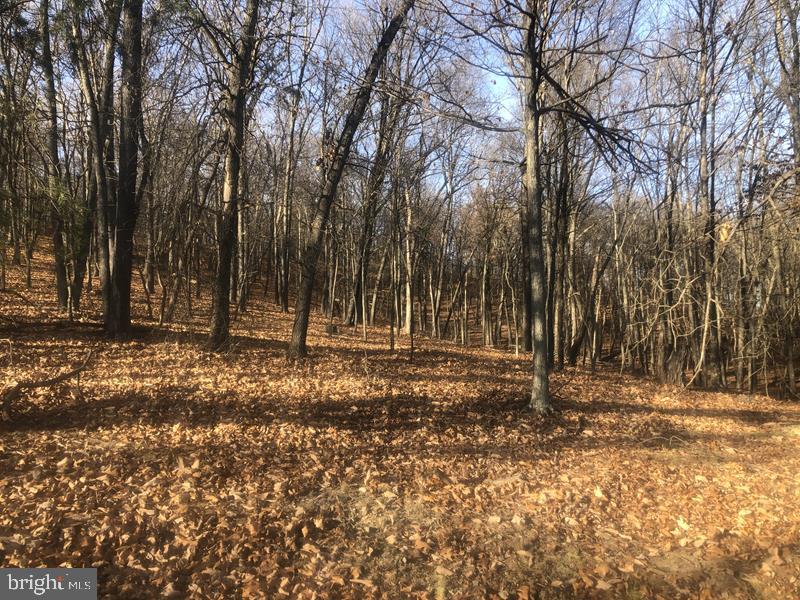 QUIVEYS GROVE - Land