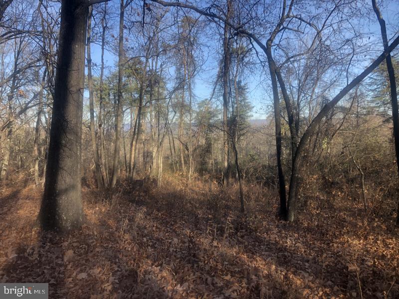 QUIVEYS GROVE - Land