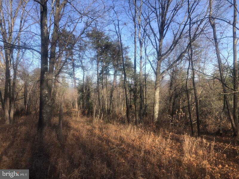 QUIVEYS GROVE - Land