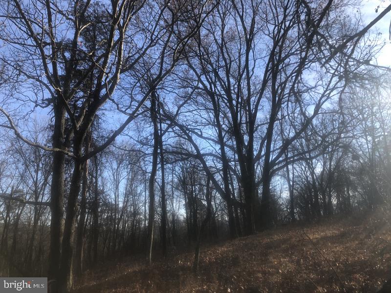 QUIVEYS GROVE - Land