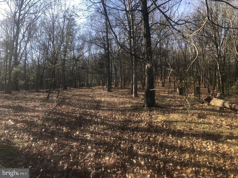 QUIVEYS GROVE - Land