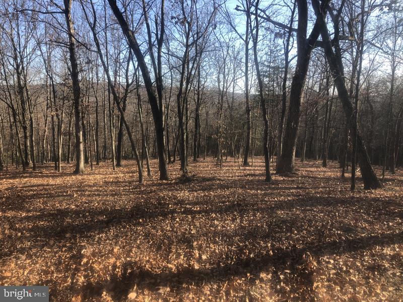 QUIVEYS GROVE - Land