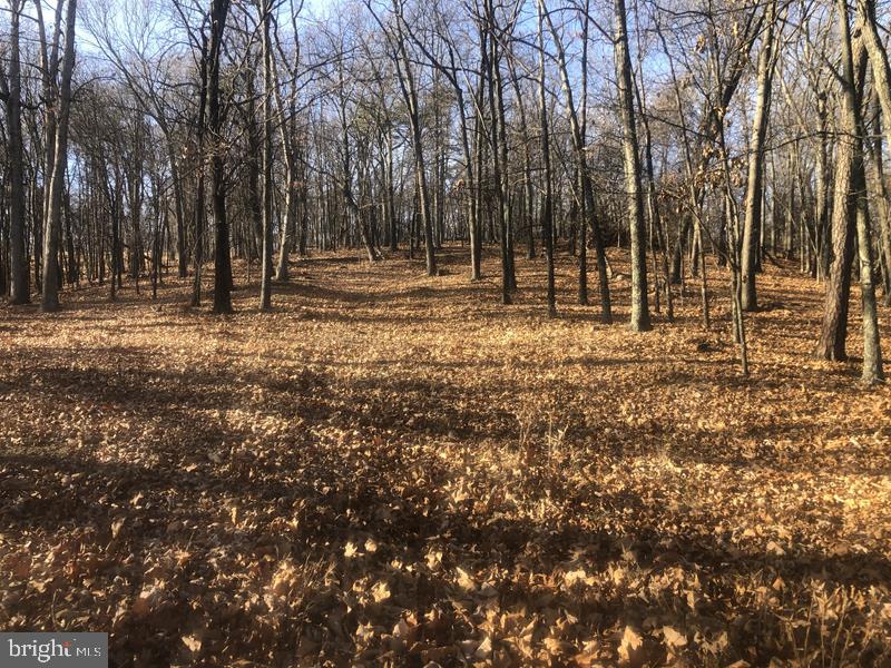 QUIVEYS GROVE - Land