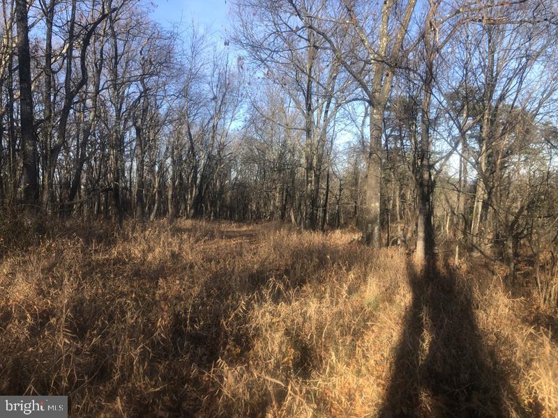 QUIVEYS GROVE - Land