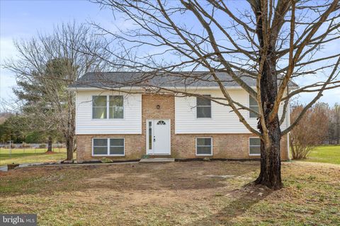 672 MONTMORENCY DRIVE BUNKER HILL WV 25413