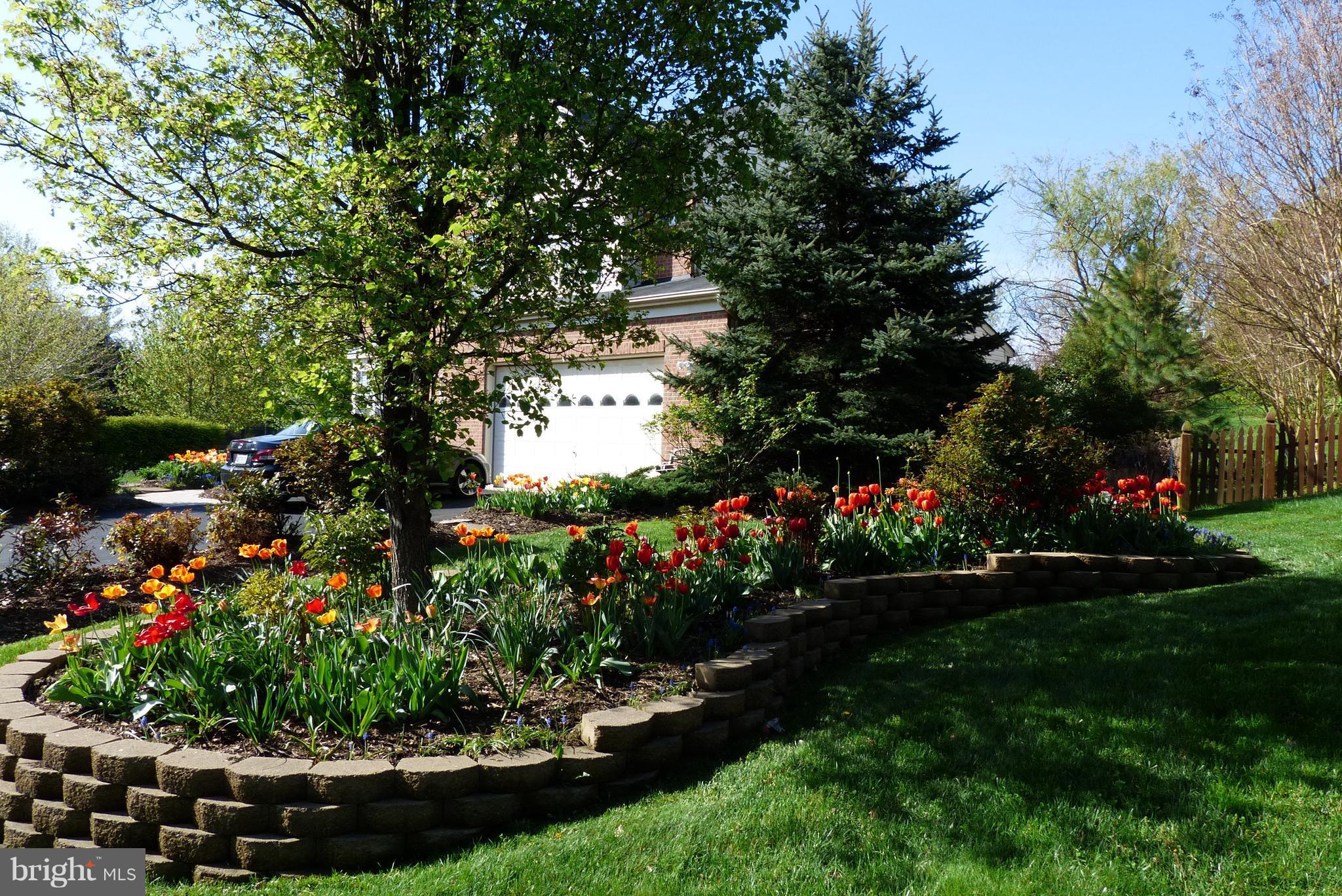 CLOPPERS MILL WEST - Residential