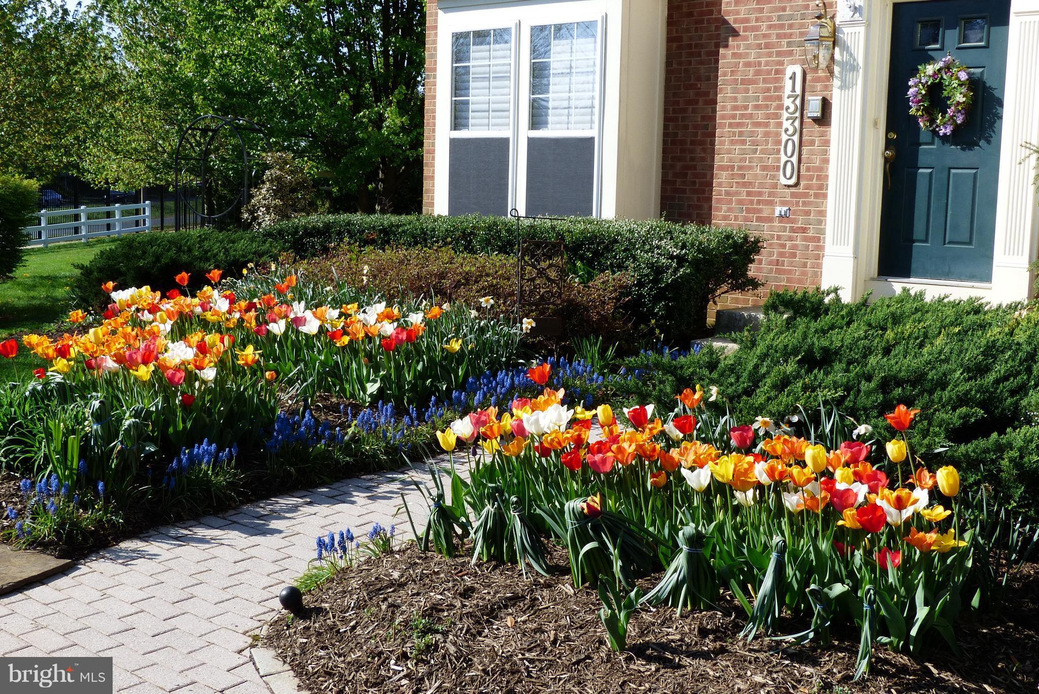 CLOPPERS MILL WEST - Residential