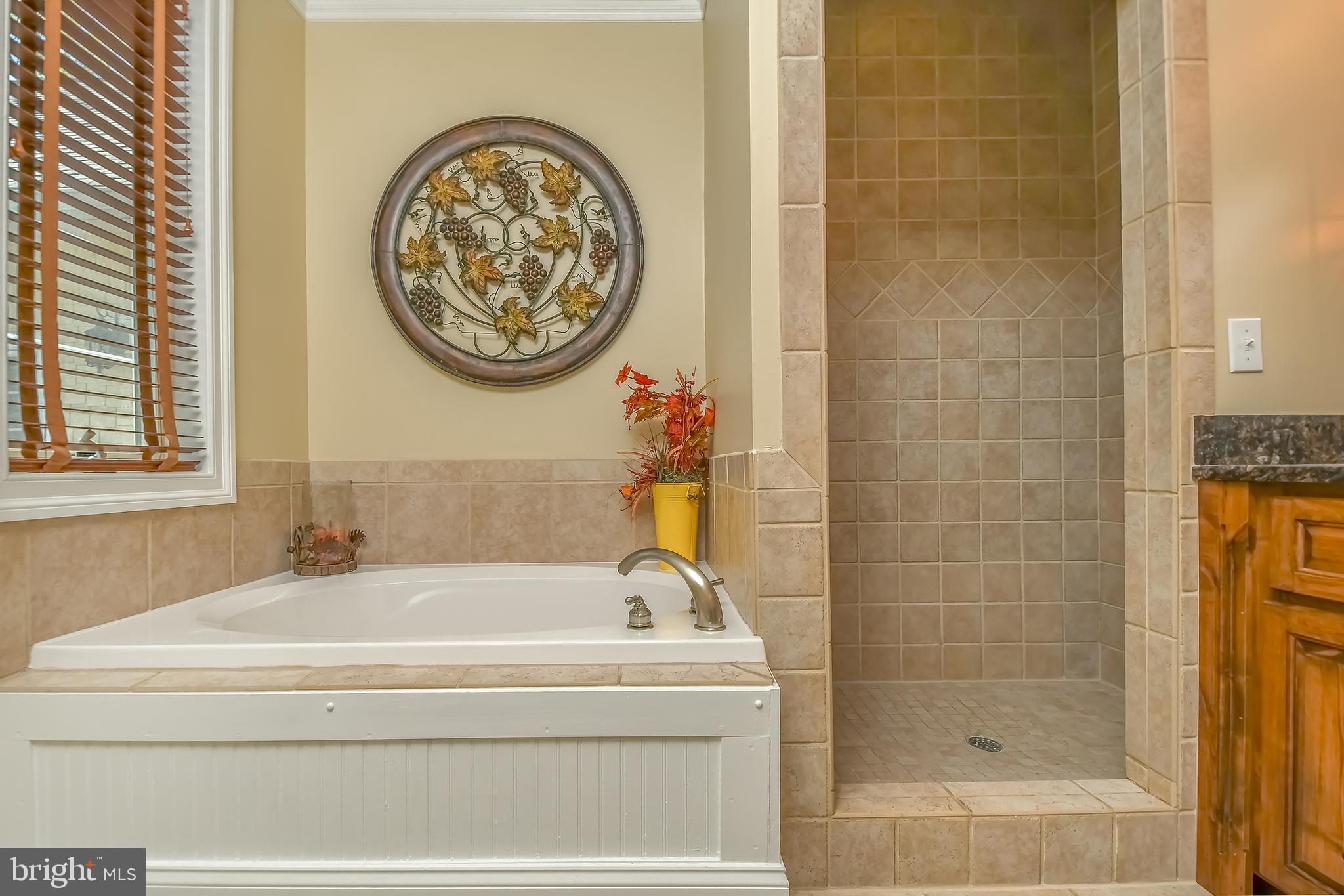 ALPINE VILLAGE - Residential