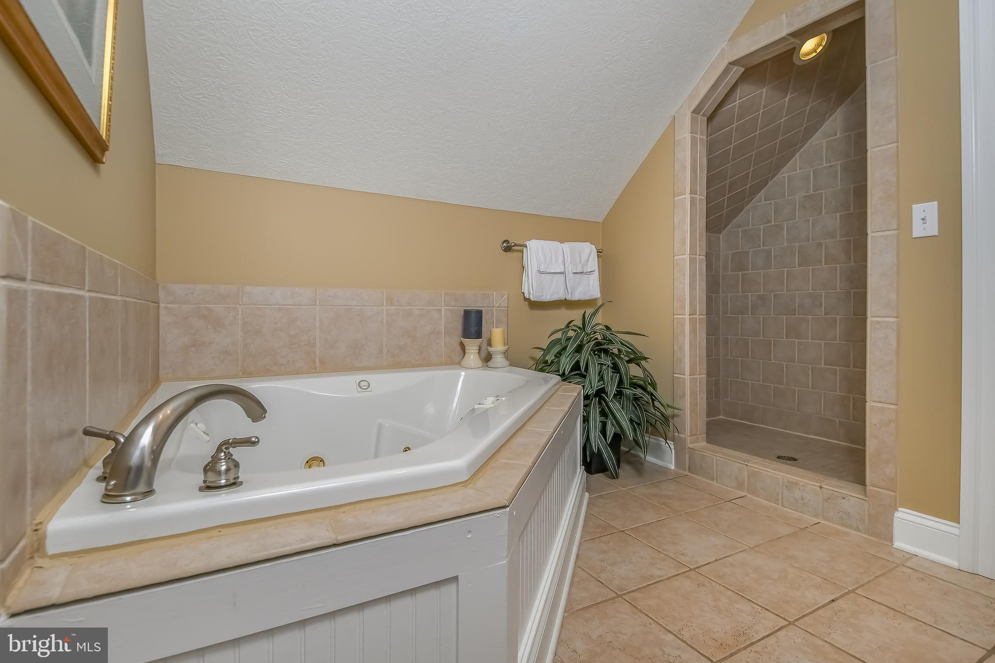 ALPINE VILLAGE - Residential