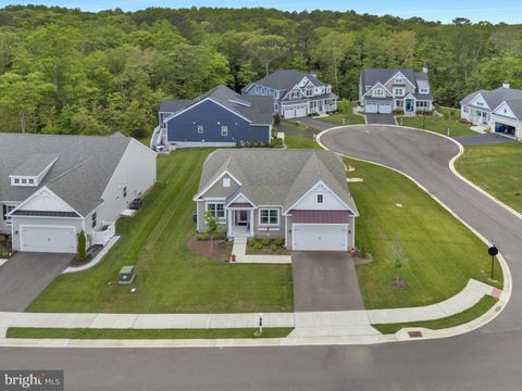 30082 PIPING PLOVER MILLSBORO DE 19966