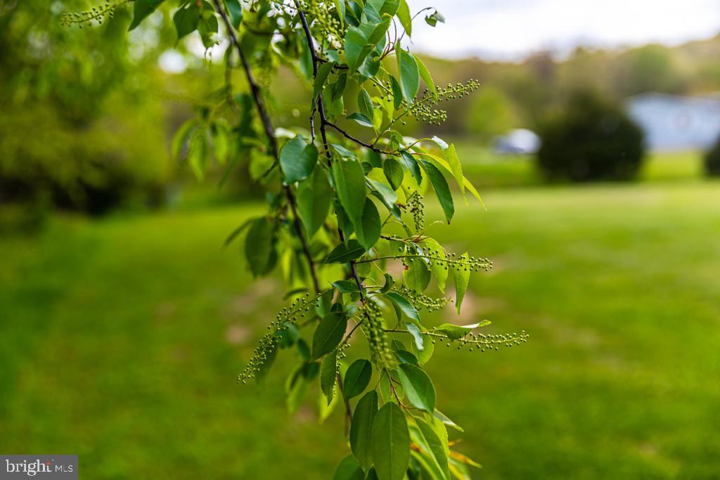 OGDEN FARM MEADOWS - Residential