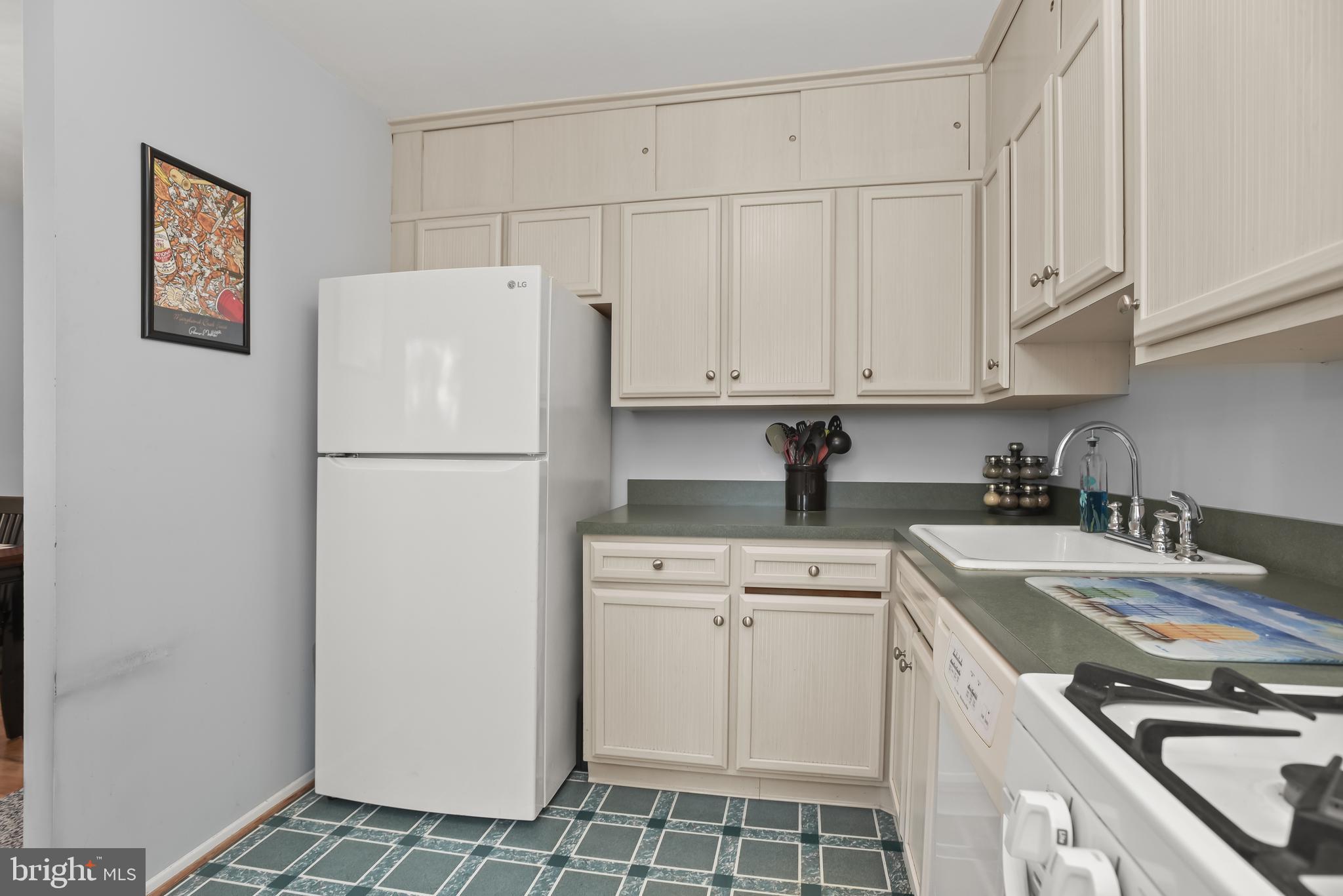 VILLAGE OF OLDE MILL - Residential