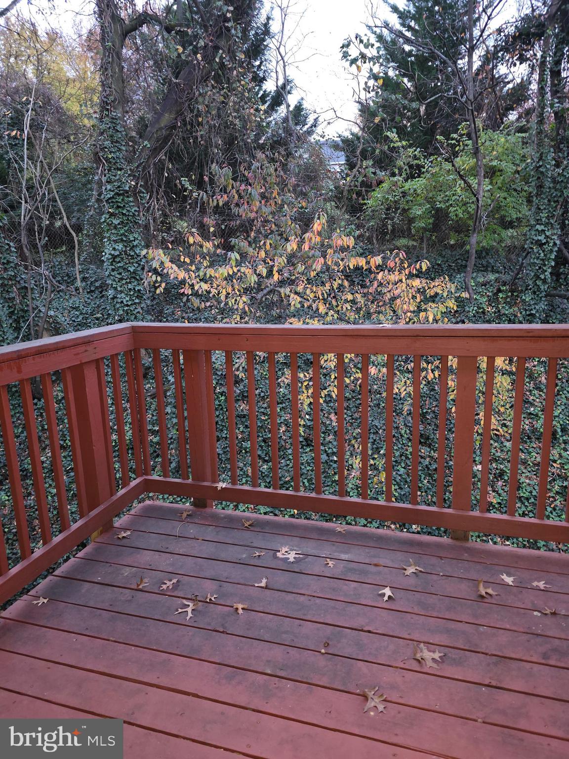 SEMINARY WALK - Residential Lease