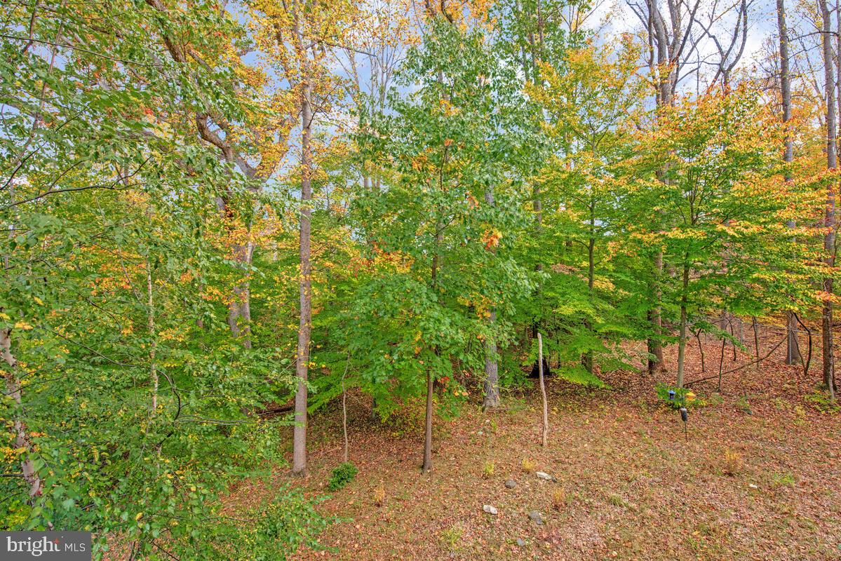 PATAPSCO OVERLOOK - Residential