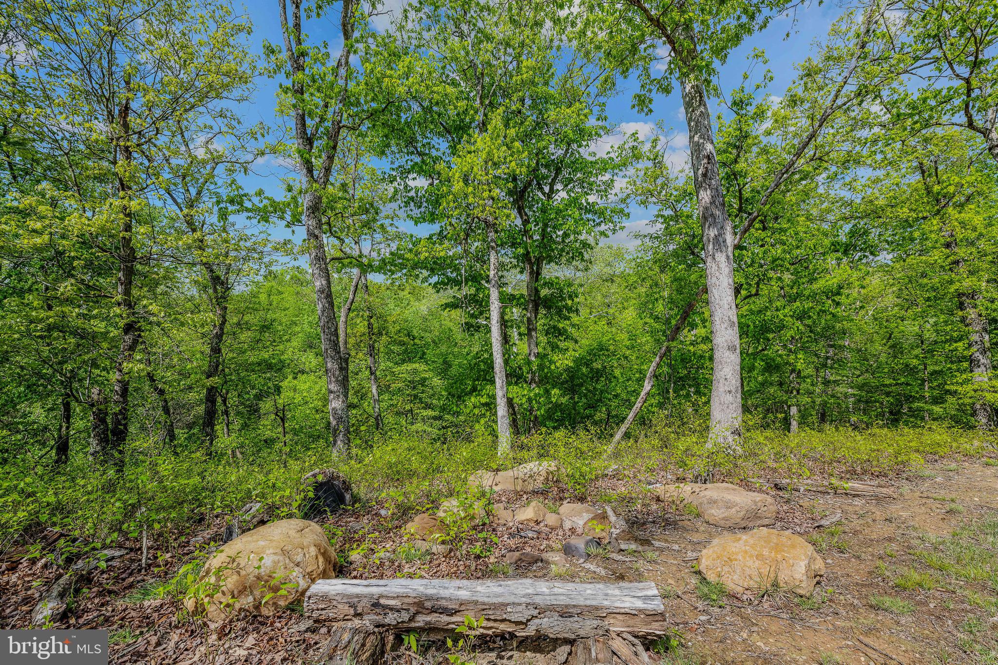 POTOMAC RIVER VISTA - Residential