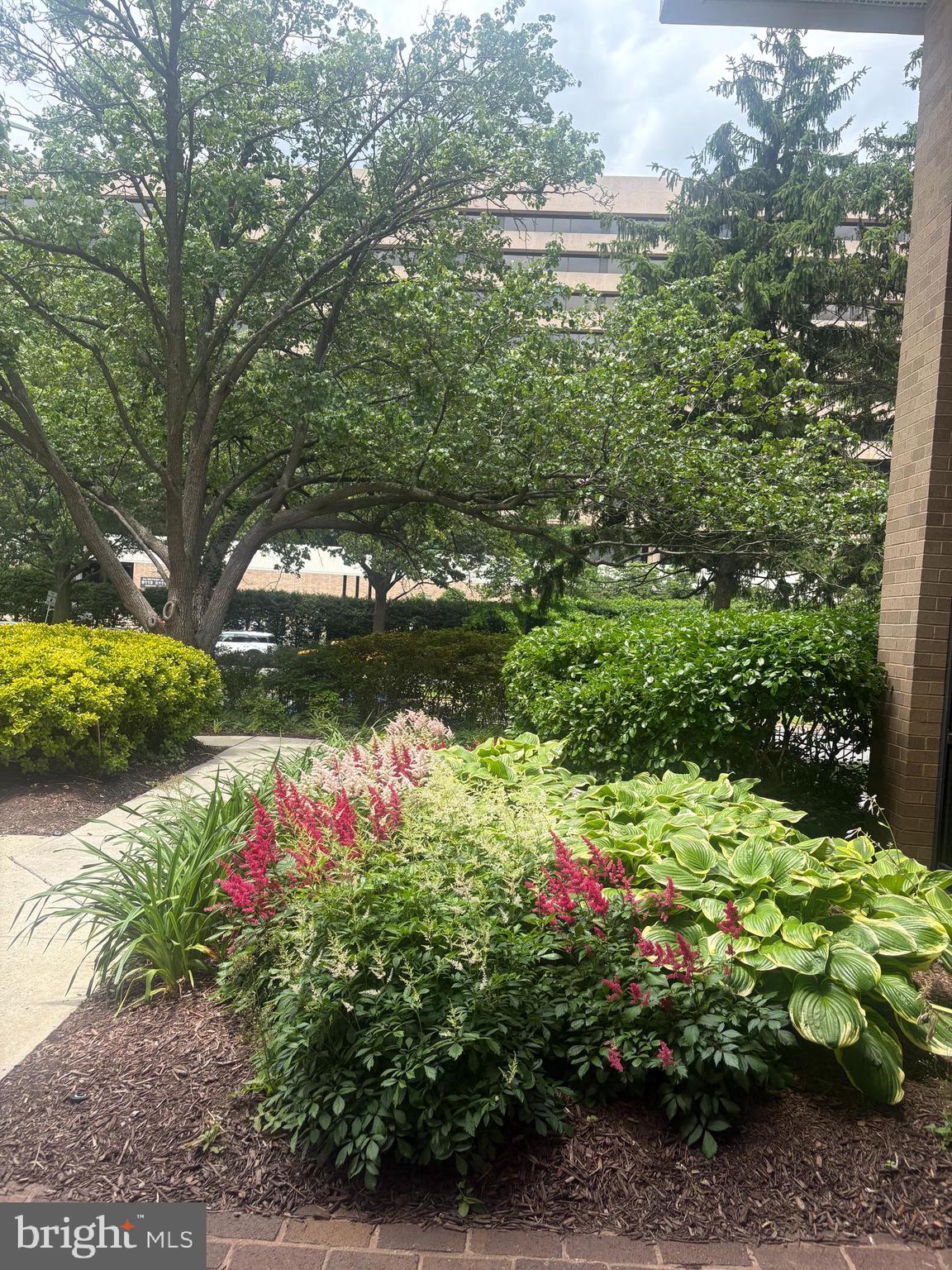 SKYLINE - Residential Lease