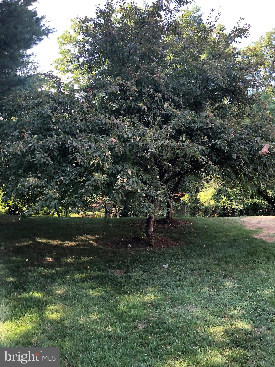 CENTER TERRACE - Residential