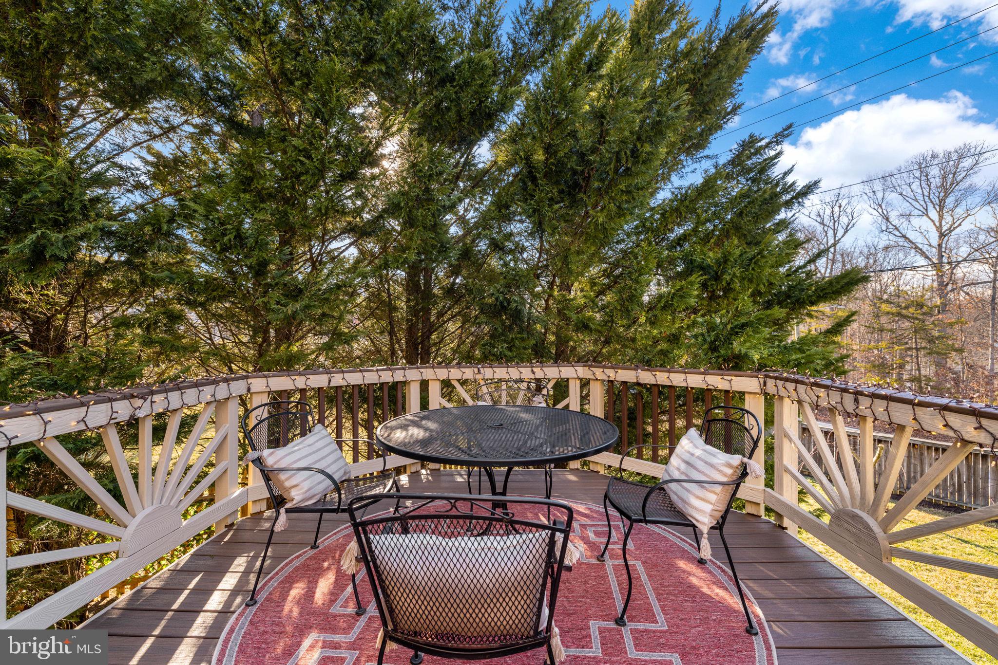 WOODS AT SOUTH RUN - Residential