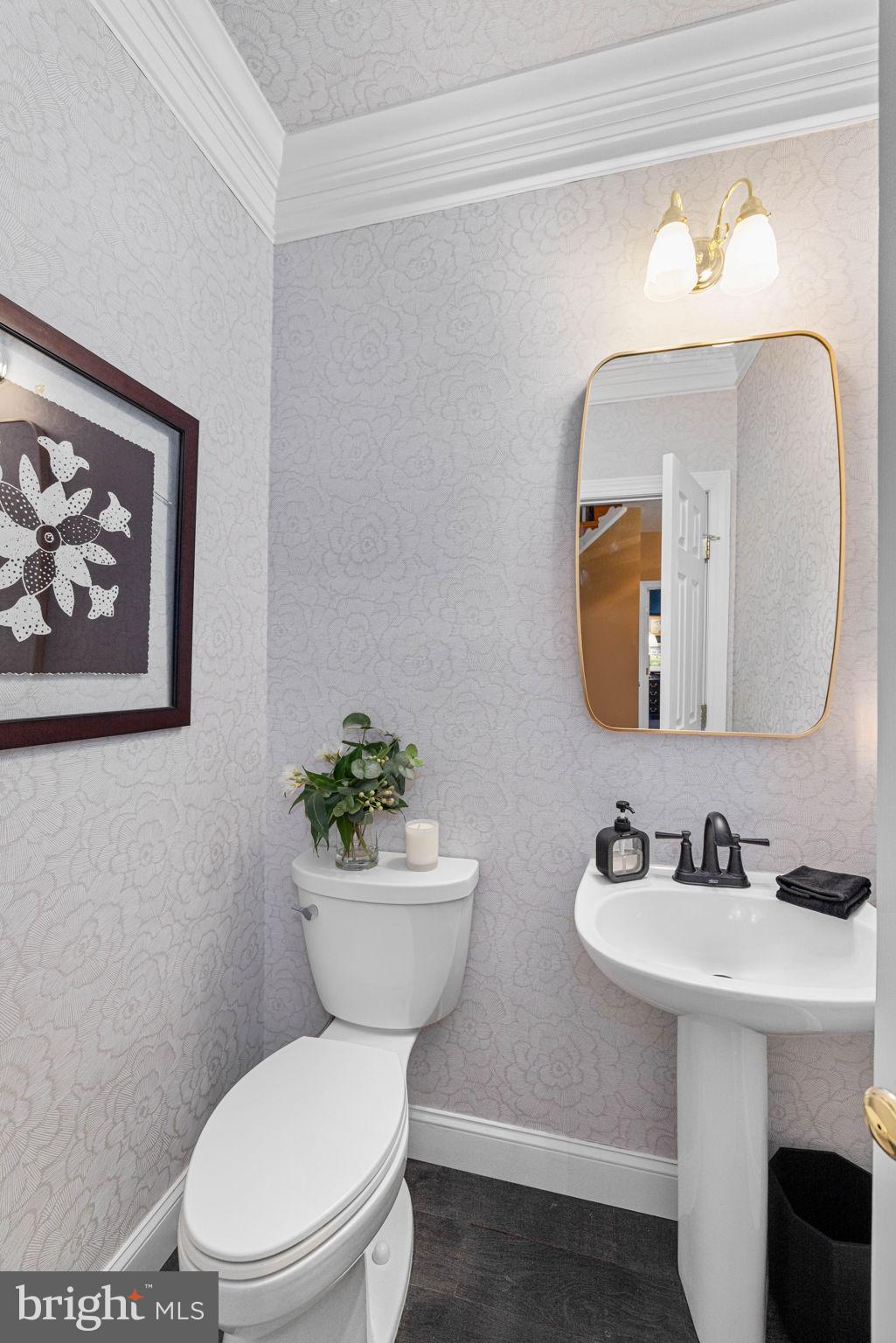 WOODS AT SOUTH RUN - Residential