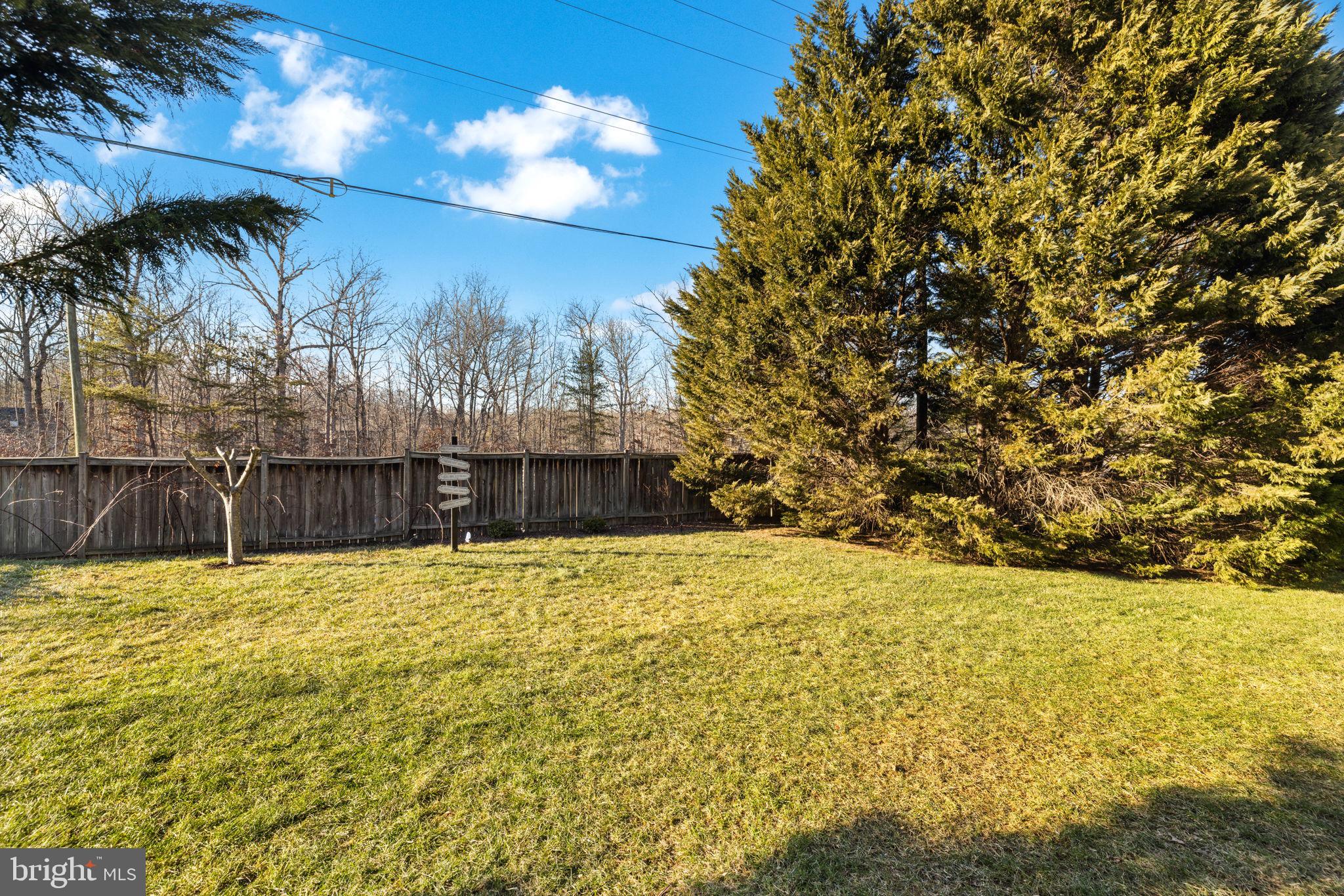 WOODS AT SOUTH RUN - Residential