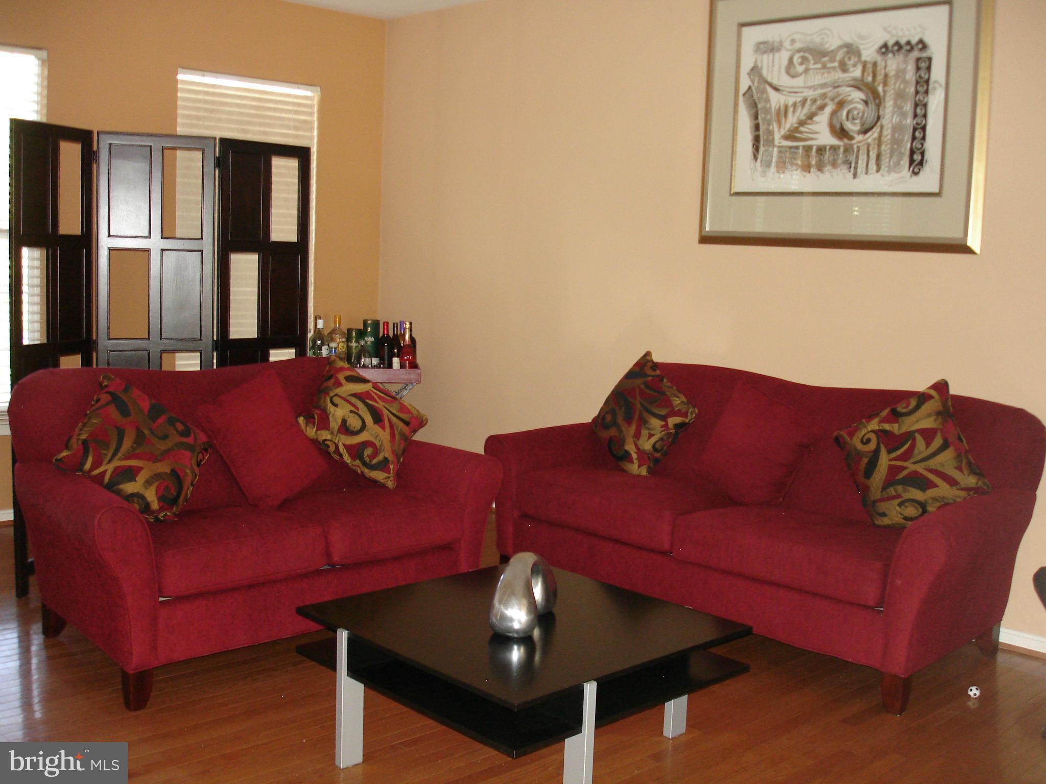 20788 BRIDALVEIL FALLS TERRACE