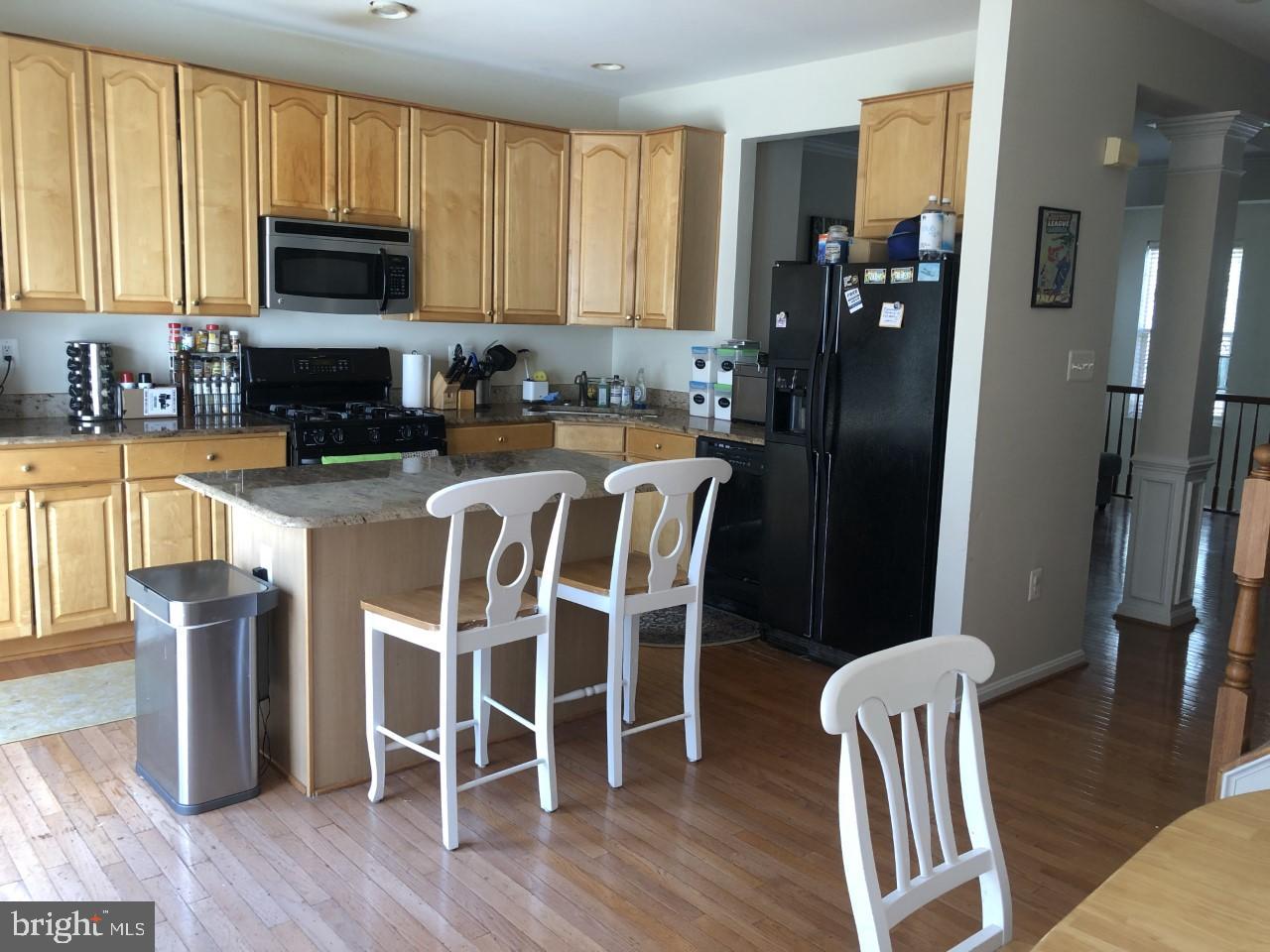 20788 BRIDALVEIL FALLS TERRACE