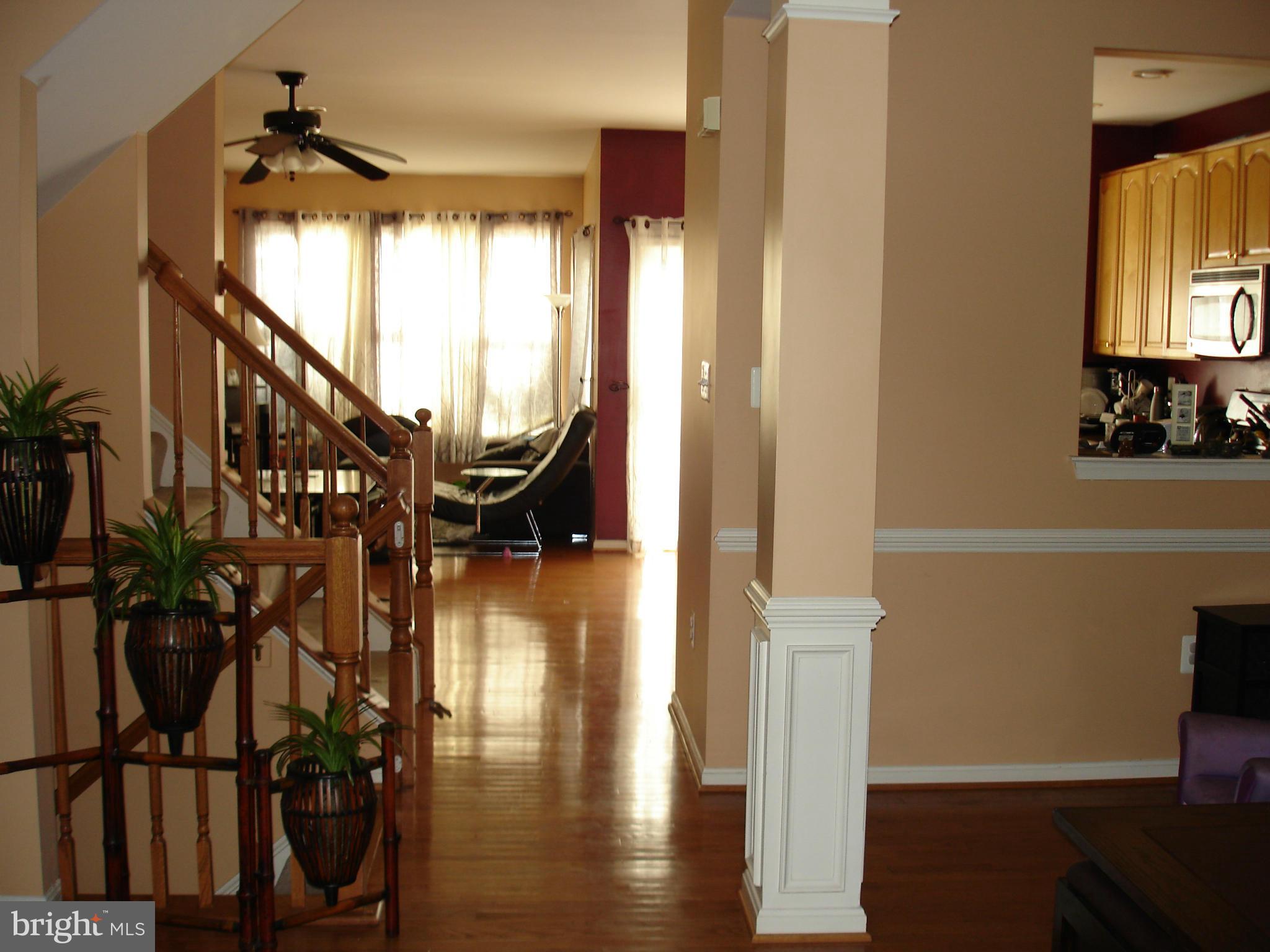 20788 BRIDALVEIL FALLS TERRACE