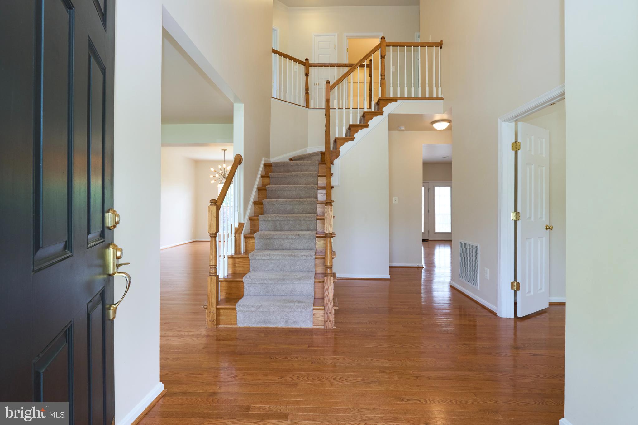 LANIER FARMS - Residential