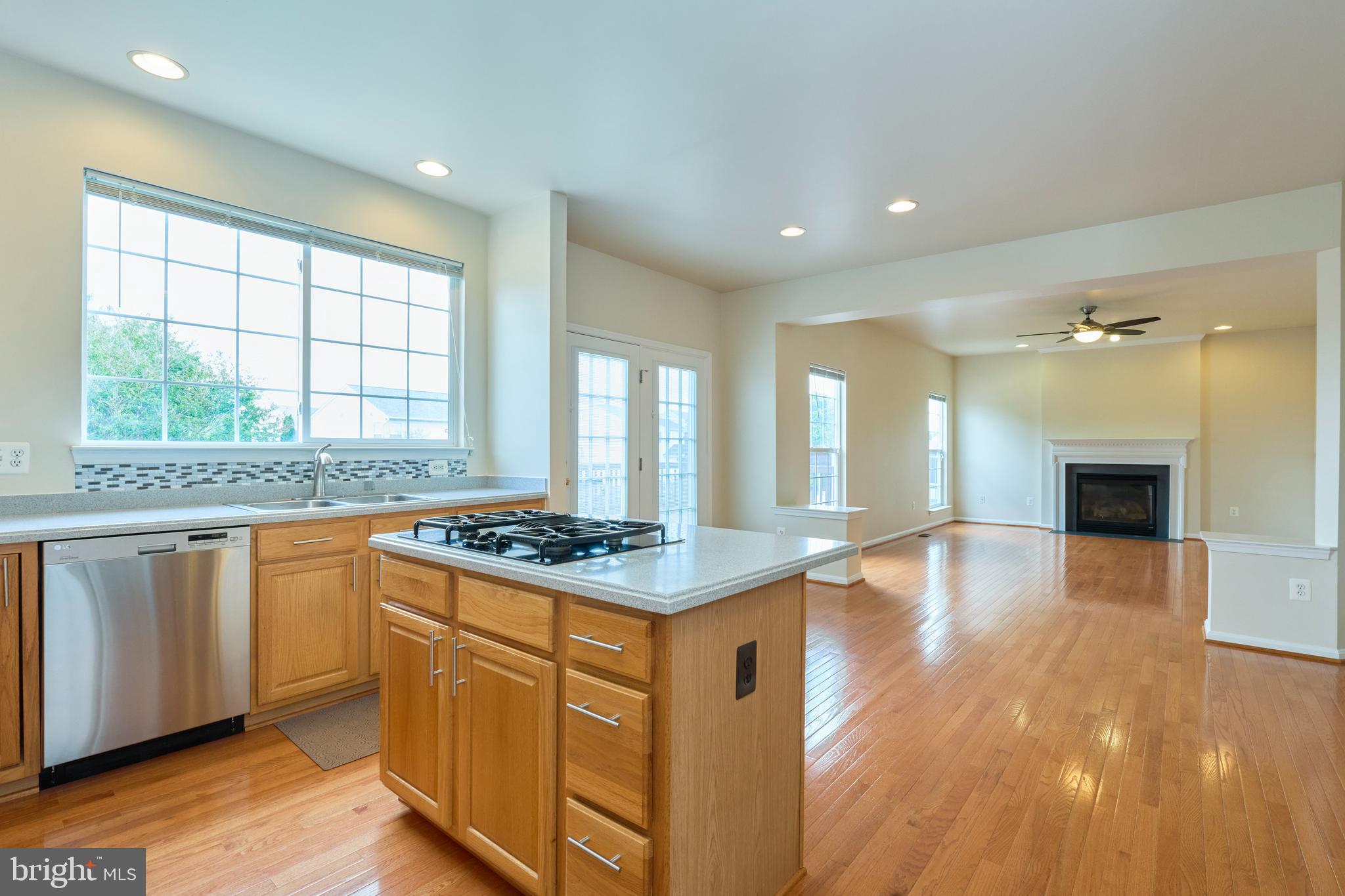 LANIER FARMS - Residential