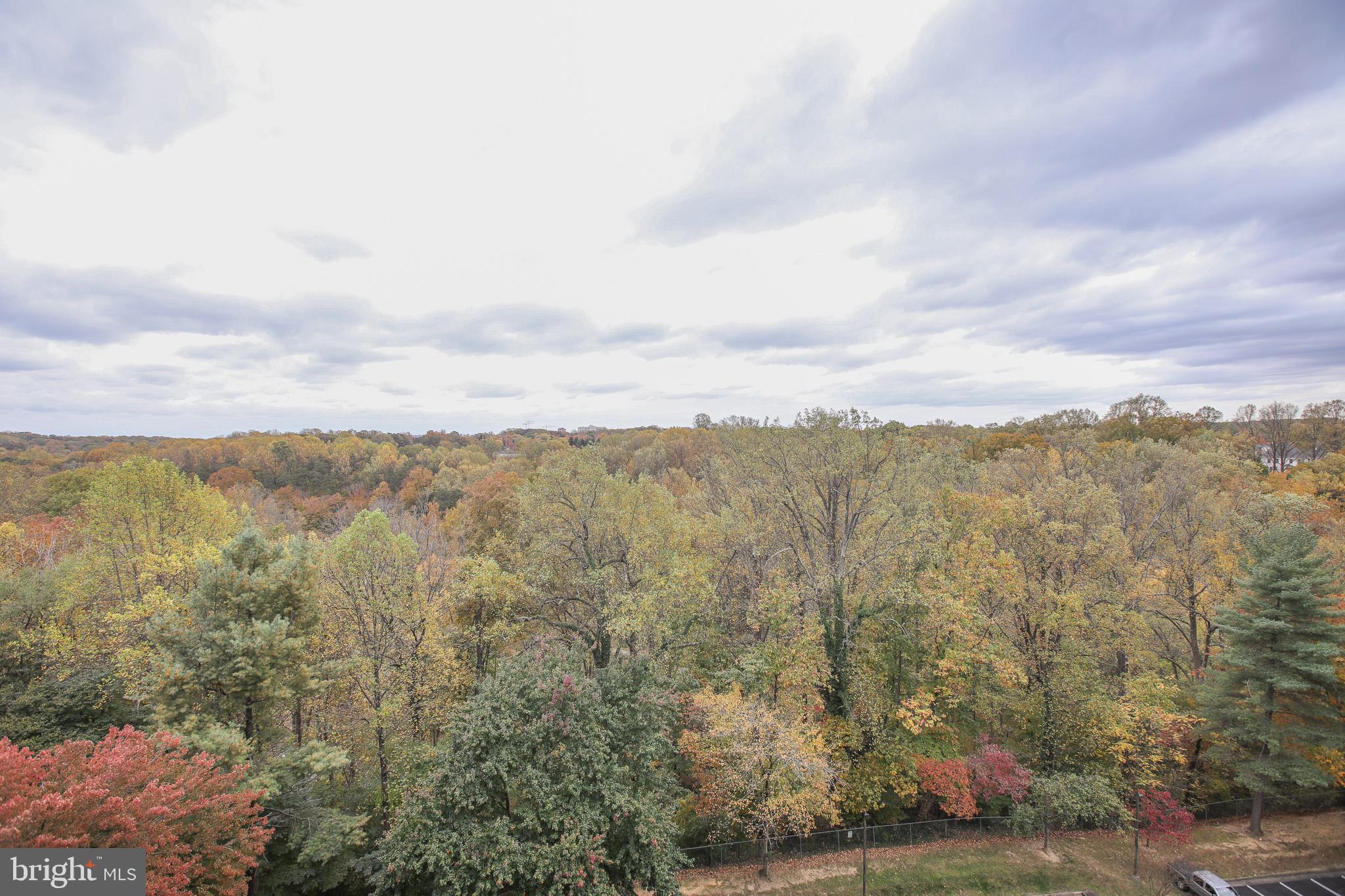 3800 POWELL LANE 1121