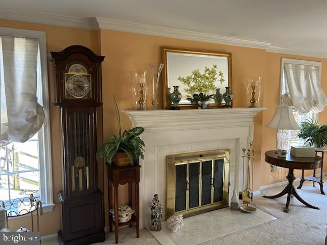 OLD FARM - Residential