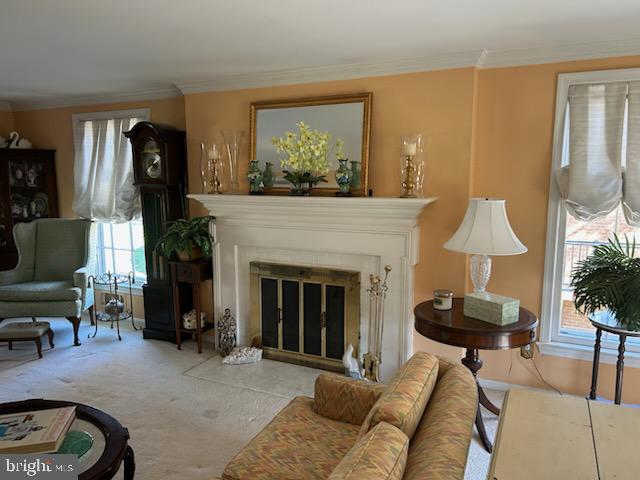 OLD FARM - Residential