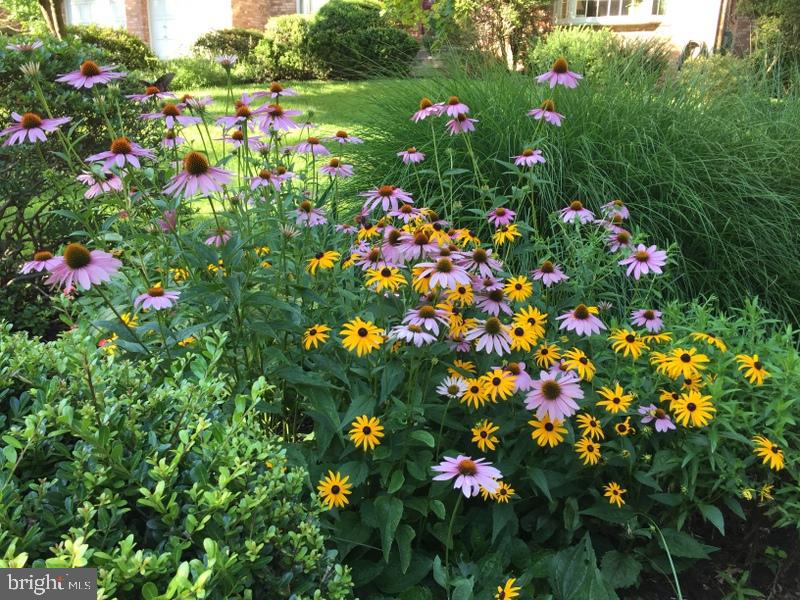 MANTUA - Residential