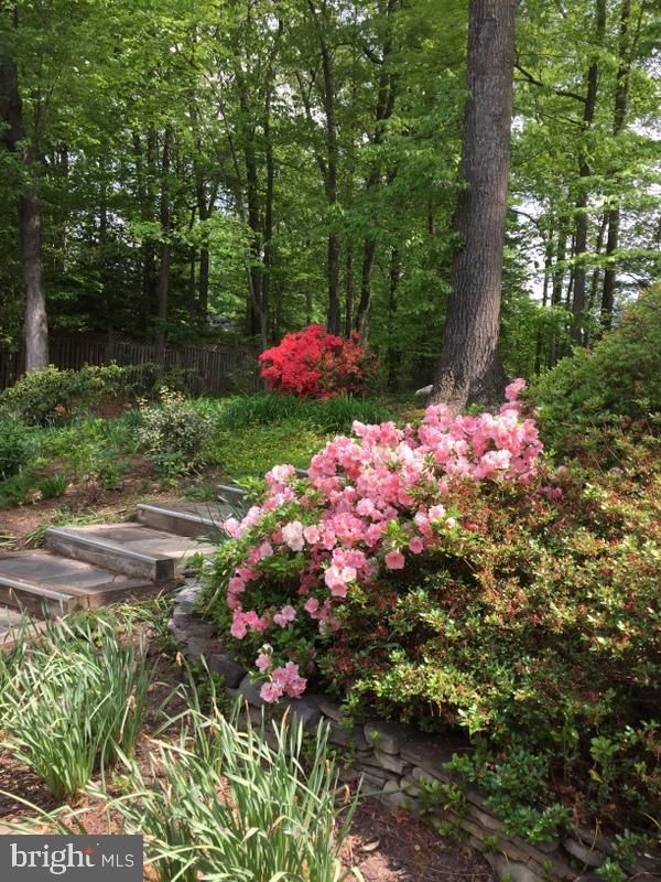 MANTUA - Residential