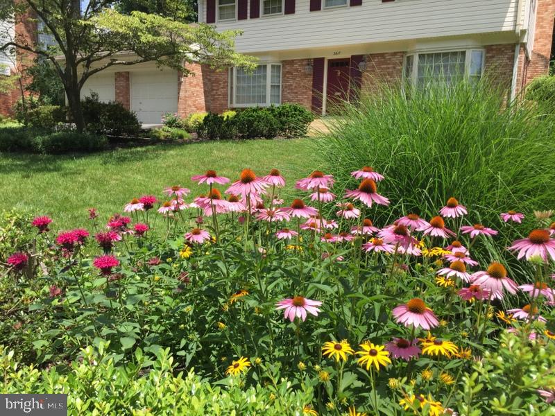 MANTUA - Residential