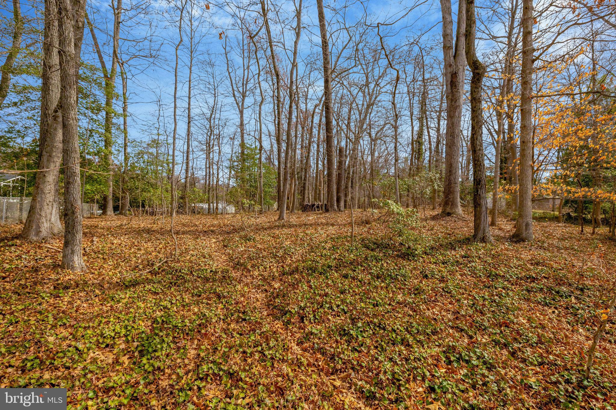 MANTUA - Residential