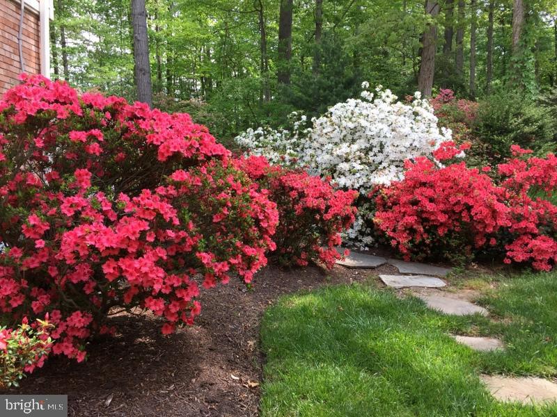 MANTUA - Residential