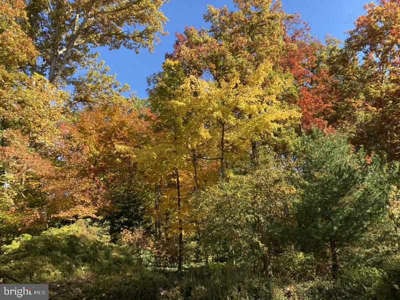 MANTUA - Residential