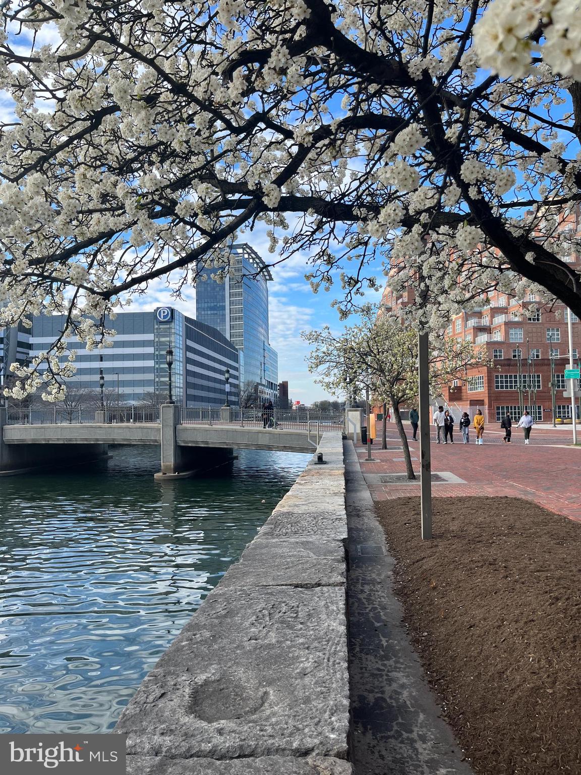 HARBOR EAST - Residential