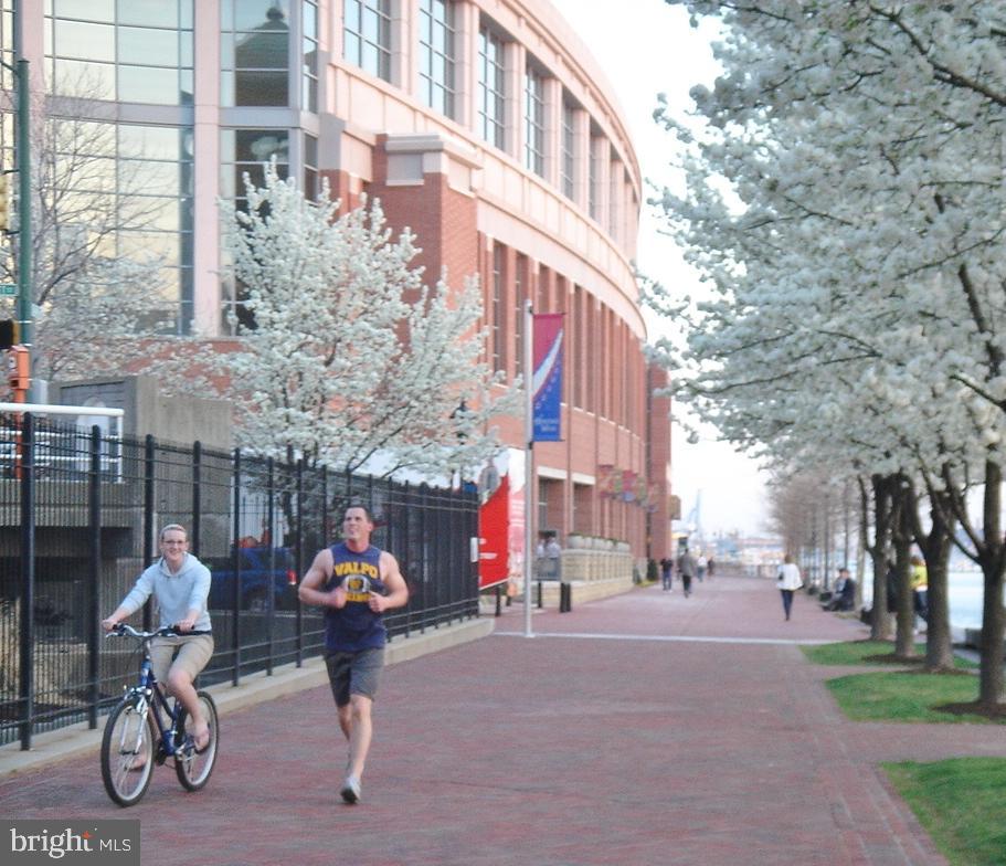 HARBOR EAST - Residential