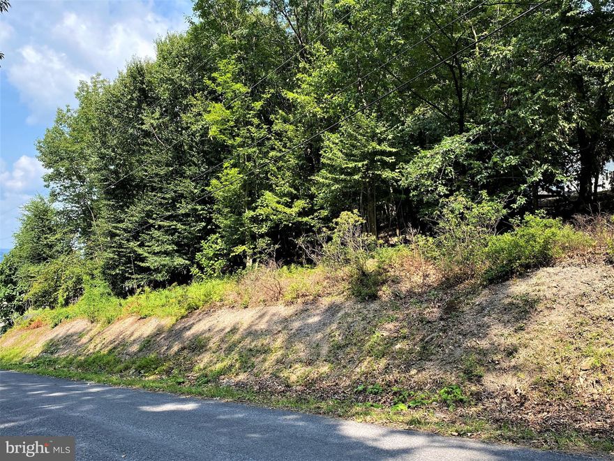 Build your dream home on this majestic wooded lot.  This property is located in the Colony Heights subdivision in Lavale, MD.  There is public water and sewer available, as well as natural gas.  You won't want to miss this amazing property.