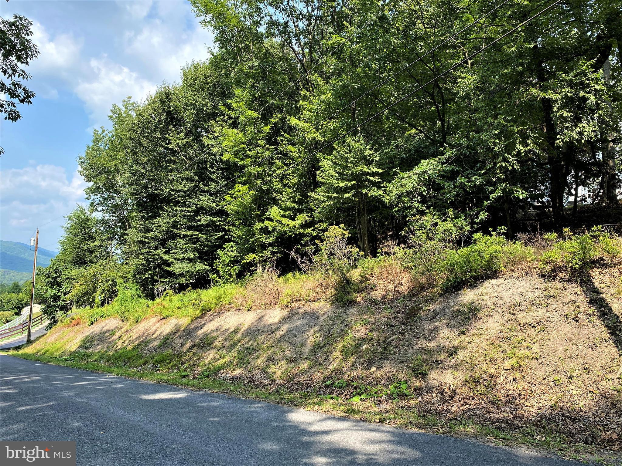 COLONY HEIGHTS - Land