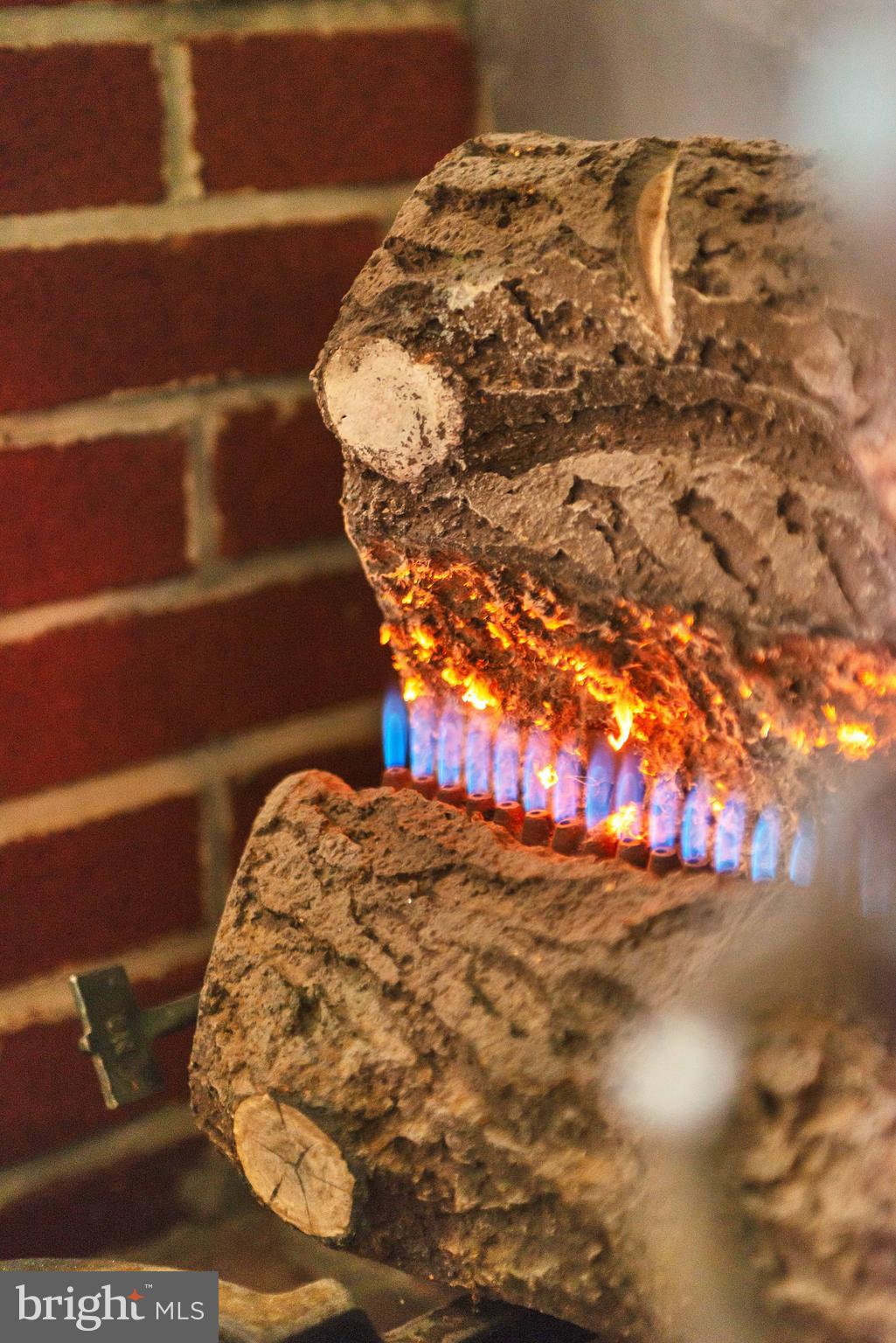 ARBOUR GREEN - Residential