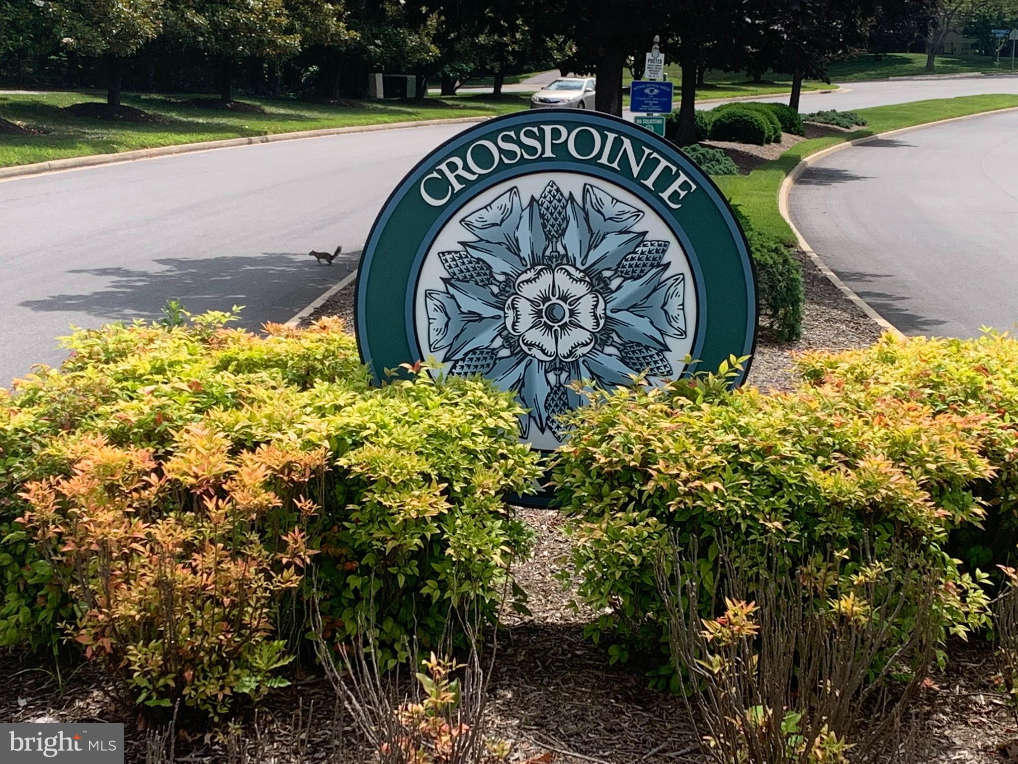 CROSSPOINTE - Residential