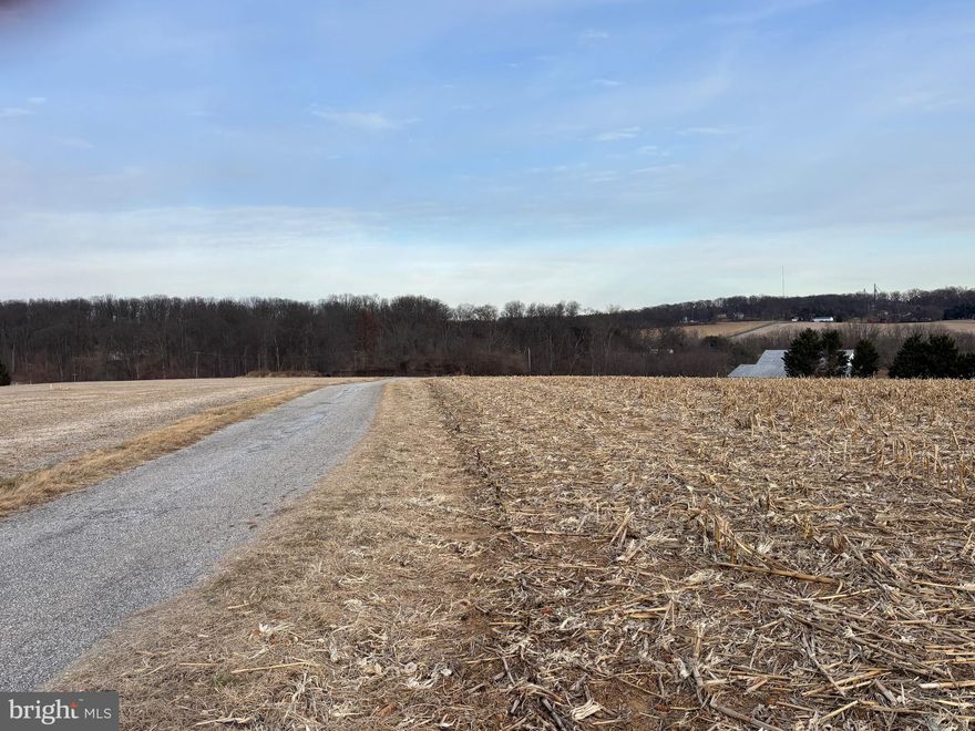 $1,000,000 Sunsets at a discount

9 Acres of Pure Possibility – Your Future Homestead Starts Here

If fresh air had a ZIP code, this would be it.

This beautiful 9-acre parcel is completely surrounded by farmland—no noisy neighbors, no traffic soundtrack, just wide-open skies and room to breathe. Whether your dream includes a hobby farm, garden rows that would make Pinterest jealous, chickens with attitude, or a custom-built forever home… this land is ready to clock in for duty.

Put 201 S Houcksville Rd in your GPS sign is at the upper corner of the lot

Bring your boots, your blueprints, and your big dreams. The only thing missing is your farmhouse porch swing.