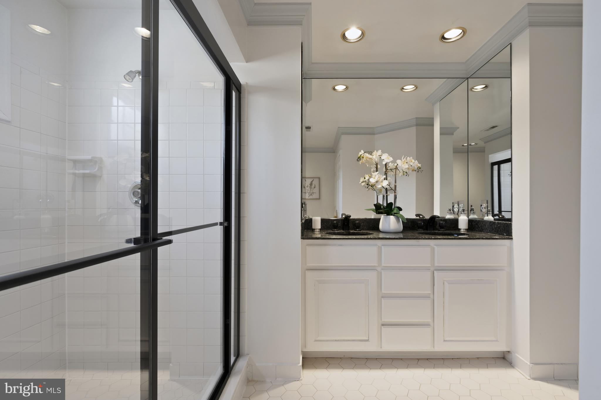 SURREY AT THE POTOMAC - Residential