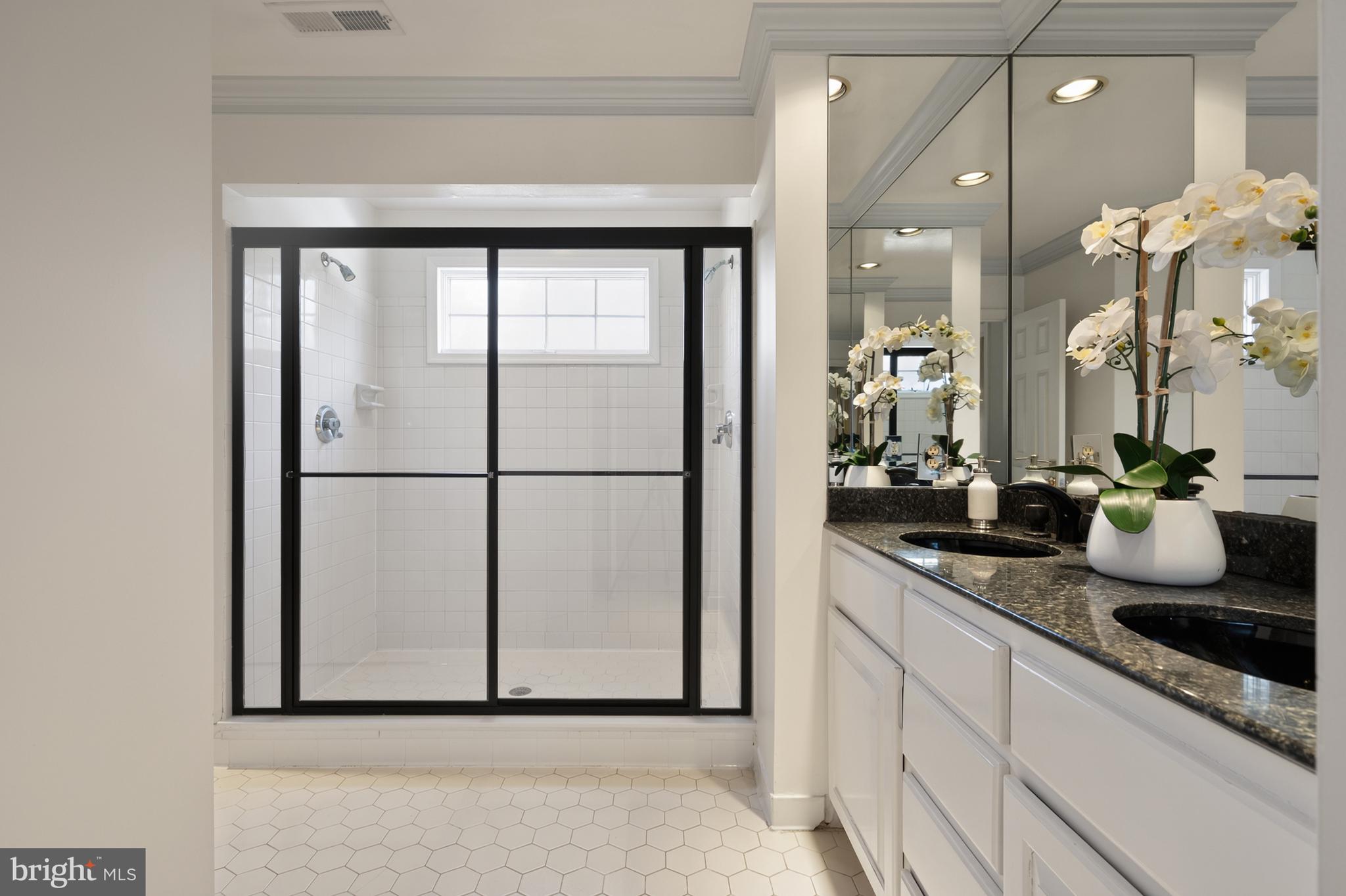 SURREY AT THE POTOMAC - Residential