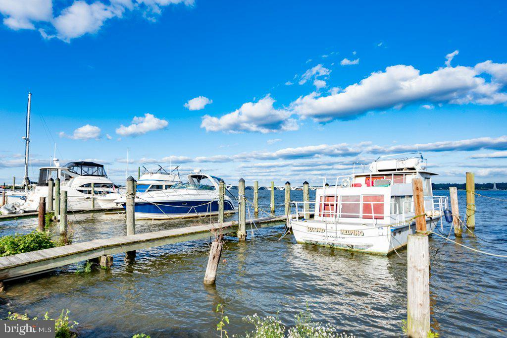 SURREY AT THE POTOMAC - Residential